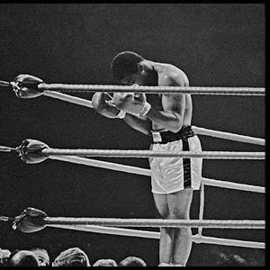 Meet your Posher, Myron